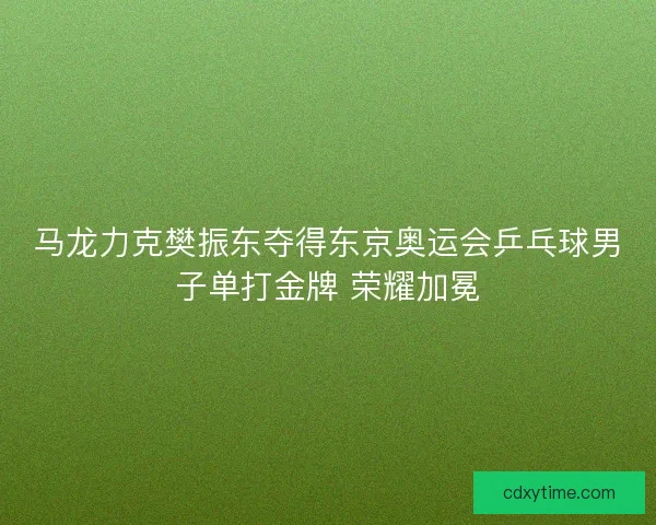 马龙力克樊振东夺得东京奥运会乒乓球男子单打金牌 荣耀加冕